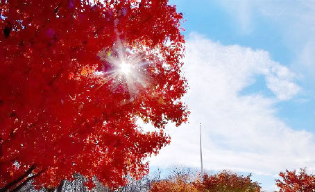 控制（经典好文）